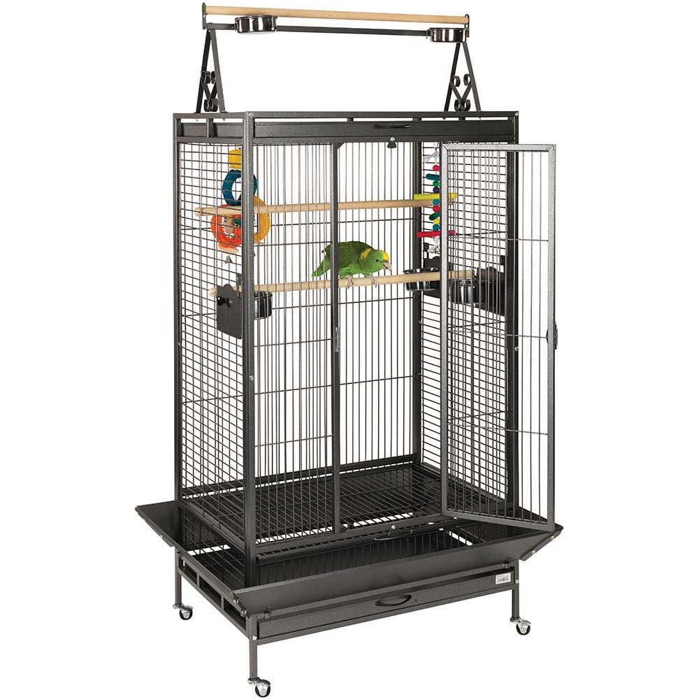 bird cages for sale