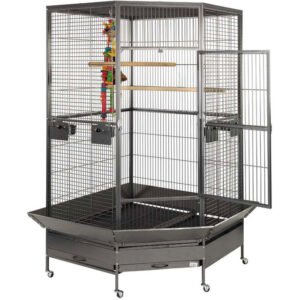 large bird cage