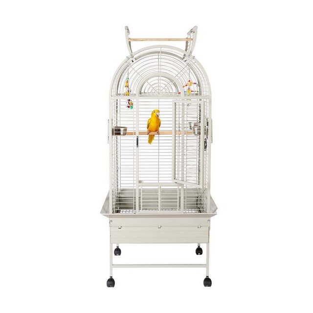 bird cage for sale