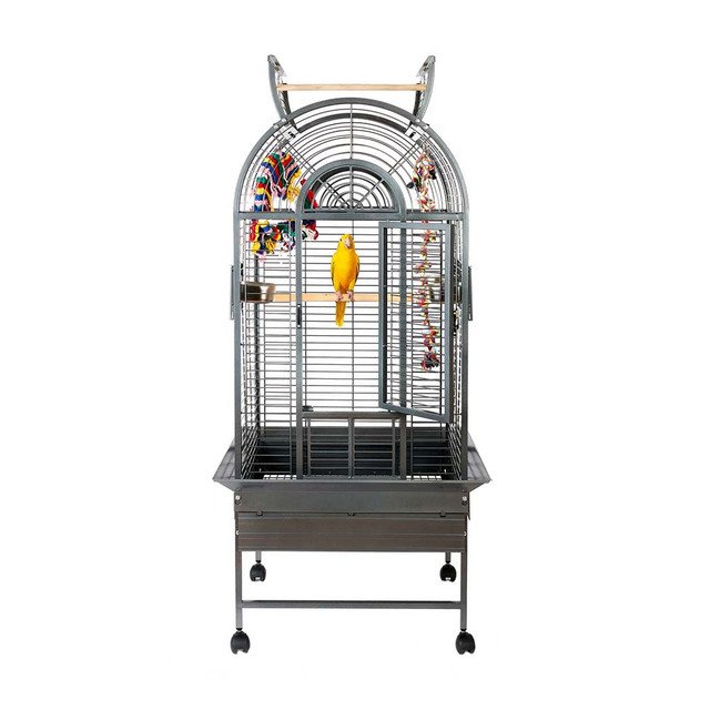 bird cage for sale