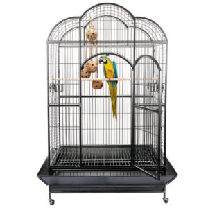 african grey parrot cages for sale