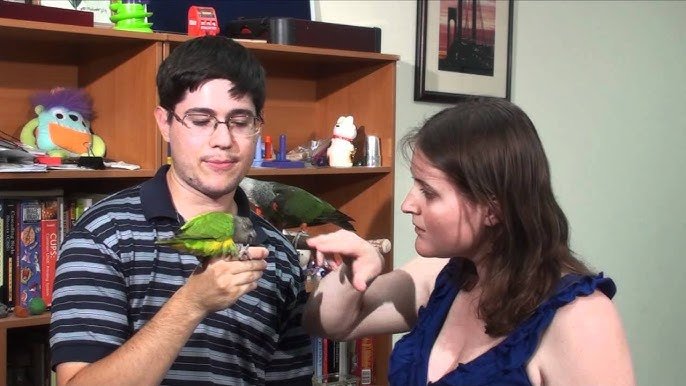 parrot bonding behavior