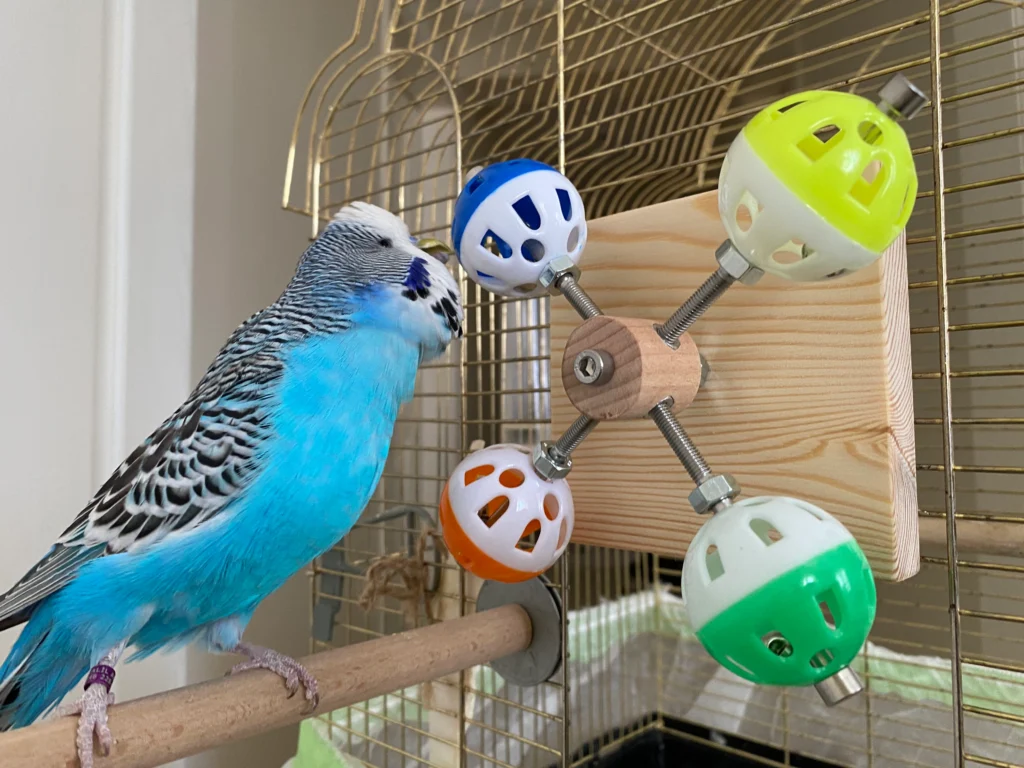 budgie cage